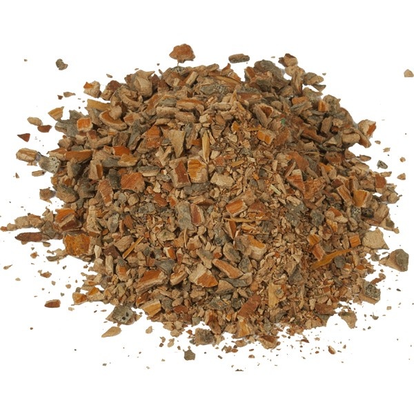 Ольха серая